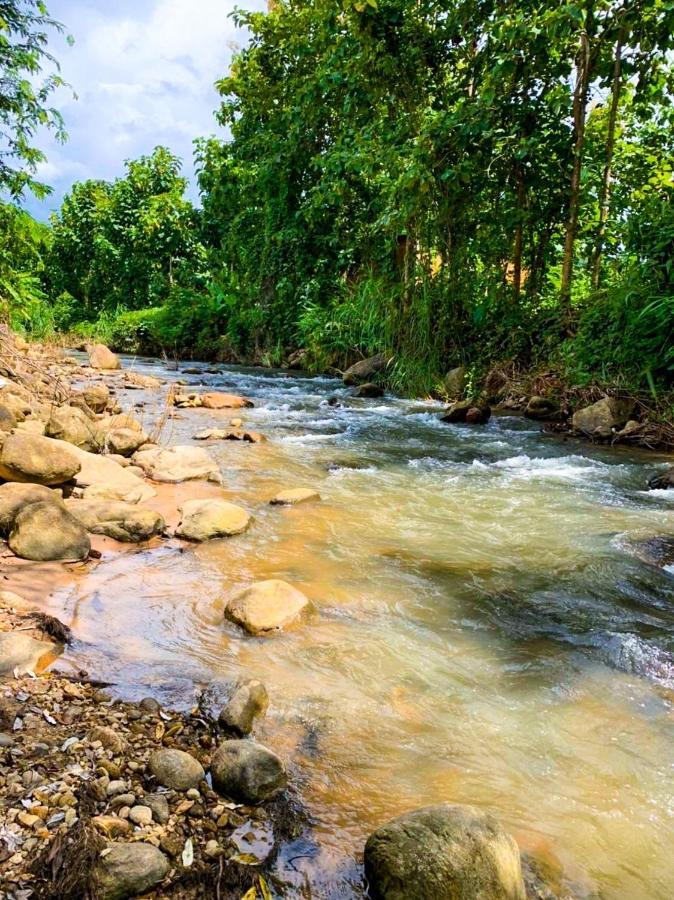 Huean Him Pan Homestay เฮือนฮิมปานโฮมสเตย์ Ban Mae Pan Ngoại thất bức ảnh